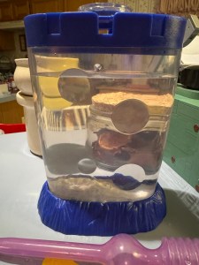 A sea monkey tank with a blue lid and base, with a molded, glow-in-the-dark interior base that looks like a low volcano caldera.