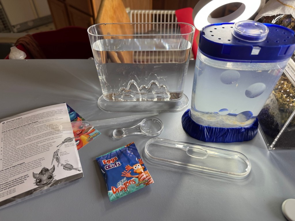 The clear plastic Aqua Dragons tank sits on a counter next to the Sea Monkeys tank. It is slightly shorter and thinner, but wider. It has a molded plastic mountain range at the bottom. In front of it is the lid, an accessory magnifying glass that came with it, the packet of eggs and salt, and the papers explaining care.